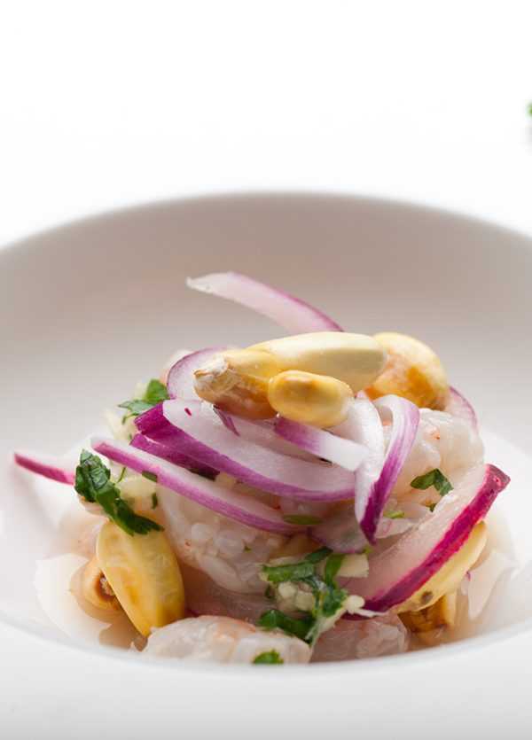 Todos los tipos distintos de ceviche