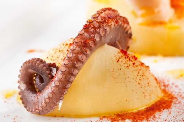 Pulpo a feira