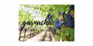 LA SASTRERIA  BIO CARIÑERA TINTA