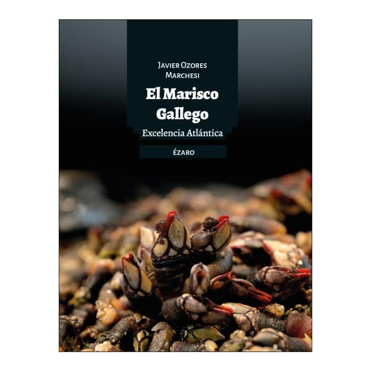 EL MARISCO GALLEGO