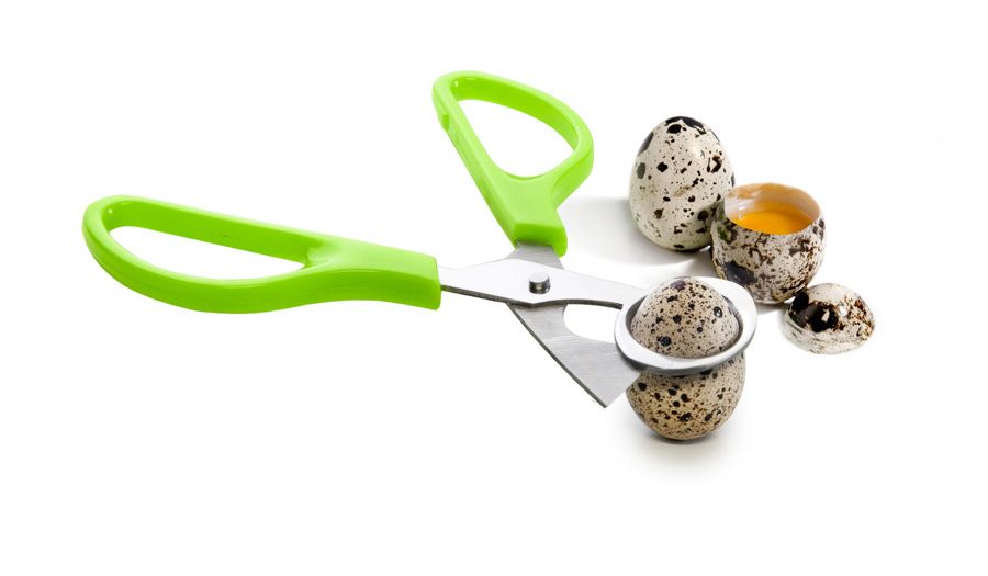 TIJERAS PARA HUEVOS DE CODORNIZ