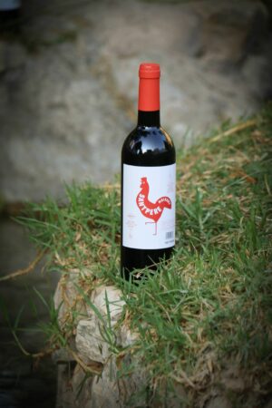 SANT PERE MOIXENT -VALENCIA